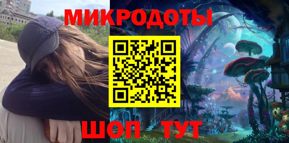 Псилоцибиновые грибы Cubensis Бугульма
