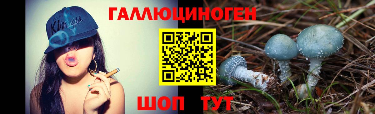 Галлюциногенные грибы Psilocybe  где продают наркотики  Бугульма  Вход с VPN 